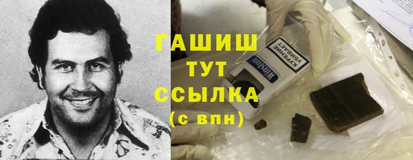 гидра Богданович