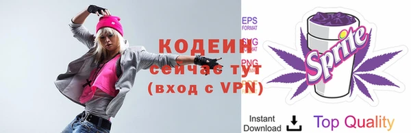 крисы Богородицк