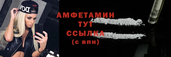гидра Богданович