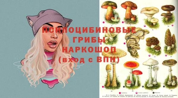 гидра Богданович