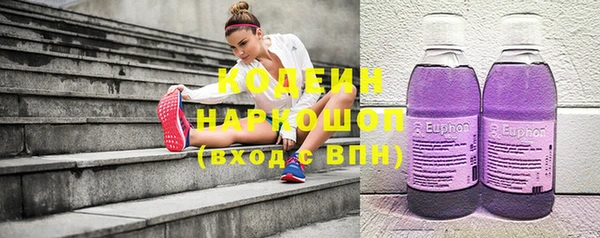 крисы Богородицк