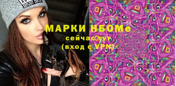 крисы Богородицк