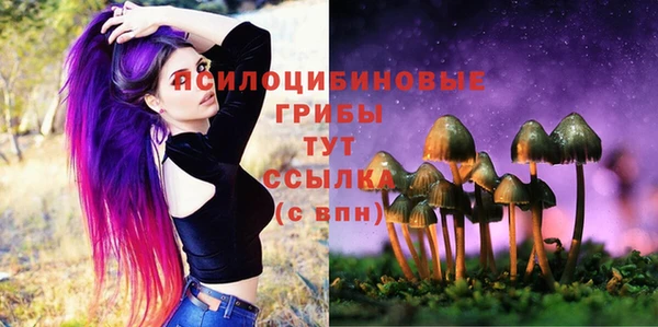 крисы Богородицк