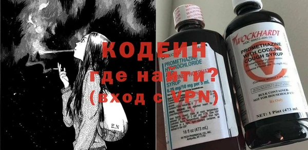 крисы Богородицк