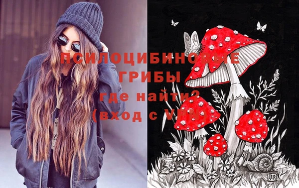 гидра Богданович