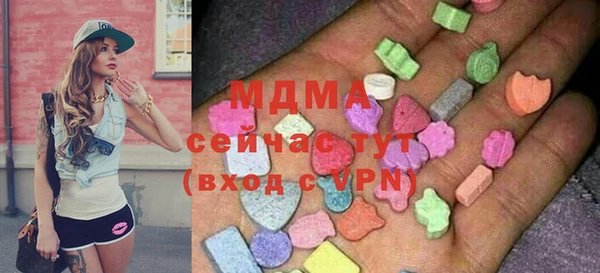 гидра Богданович