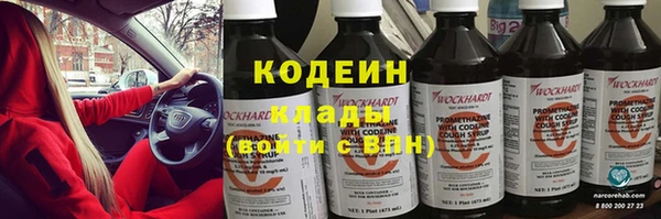 крисы Богородицк