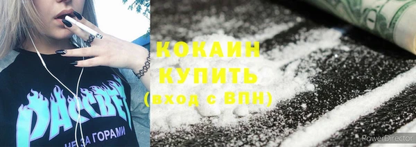 гидра Богданович