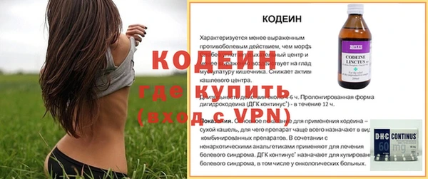 крисы Богородицк