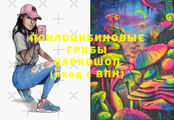 гидра Богданович