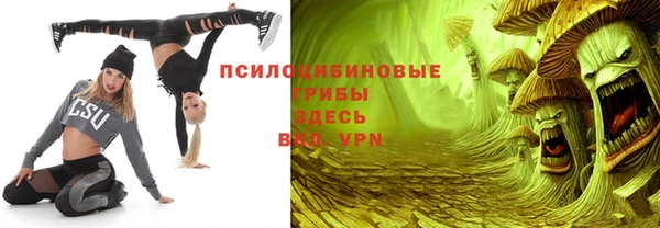 крисы Богородицк