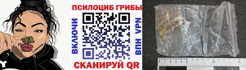 купить Красавино Псилоцибиновые грибы GOLDEN TEACHER